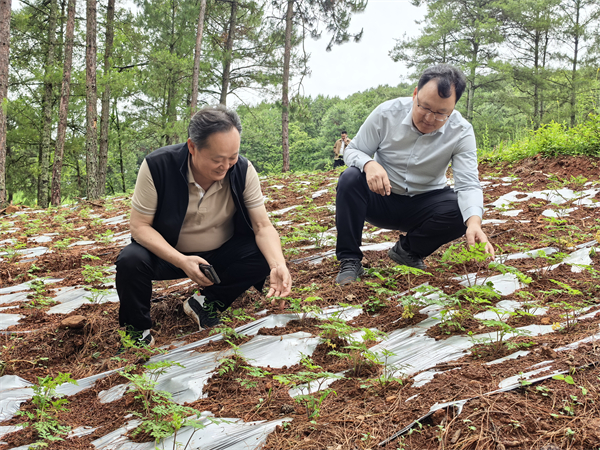 1751875428525420.jpg 4.jpg