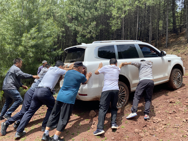 1751875445481217.jpg 7.jpg