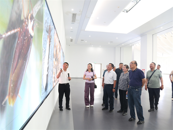 1756447566158762.jpg 2.jpg